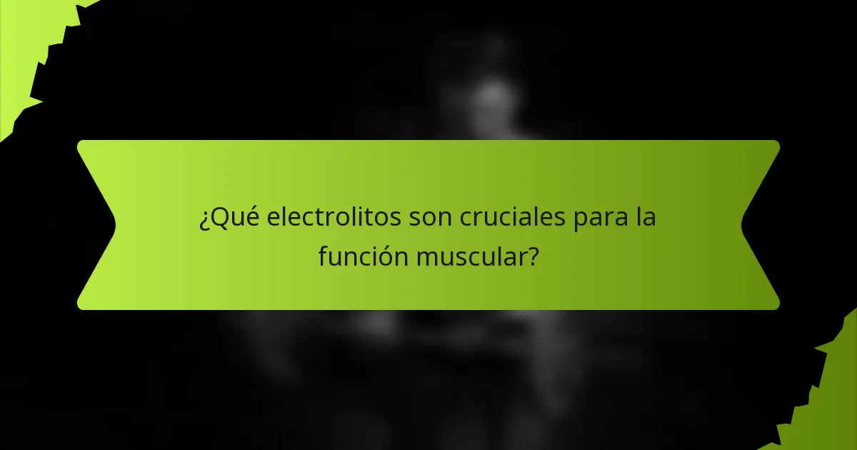 ¿Qué electrolitos son cruciales para la función muscular?